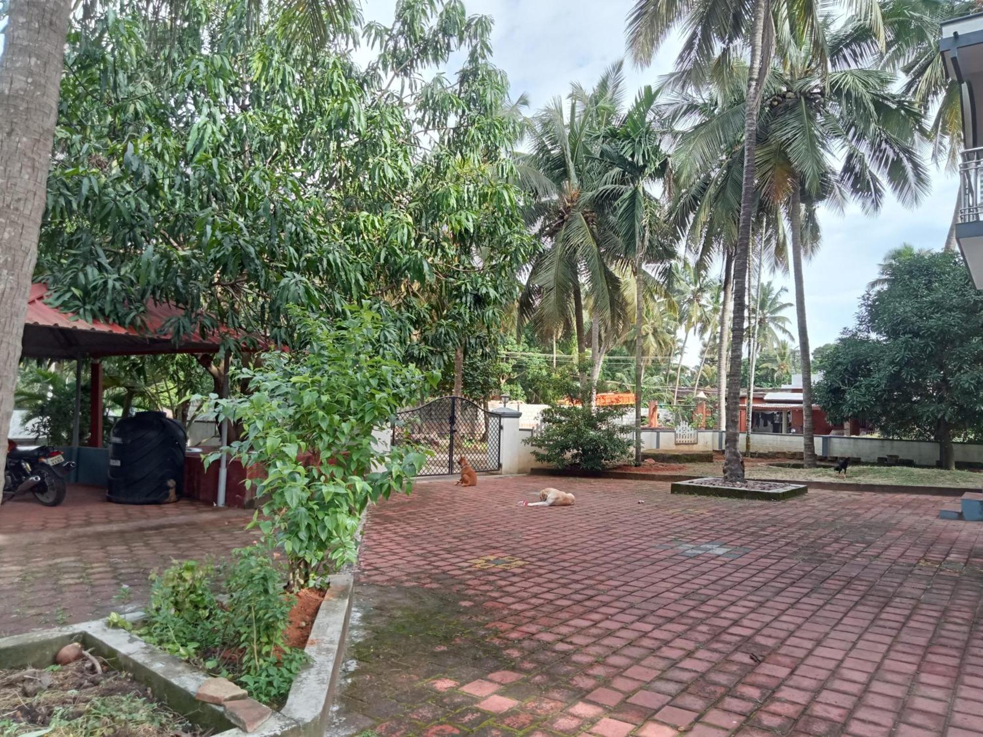 Jayadurga Farms - An Eco-Friendly Homestay 乌杜皮 外观 照片